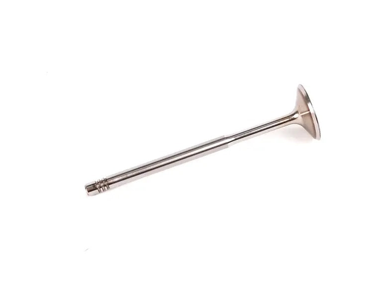 Intake Valve (058 109 601C)